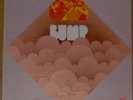 BUMP Psych Prog Private LP 1970 Original ACID ARCHIVES