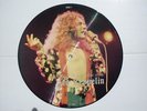 LED ZEPPELIN - PICTURE DISC LP - BEAUTIFUL AND SCARCE