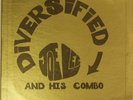 Joe Lee & Combo DIVERSIFIED Rare Funk Papa Joe Records
