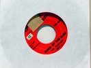 THE TRASHMEN surfin bird - king of the surf 7