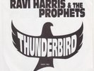 RAVI HARRIS & PROPHETS Thunderbird DESCO sitar funk 45