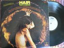 HARD FUZZ PSYCH lp THE 31 FLAVORS (FIREBIRDS) 1969 RARE