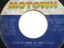 70'S SOUL 45-BOTTOM & COMPANY-GONNA FIND A TRUE LOVE CO