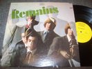 The Remains   1st Release   Epic Label   1966    RARE