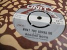 REGGAE BOYS-WHAT YOU GONNA DO --UNITY