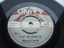REGGAE BOYS - WHAT YOU GONNA DO - UNITY/PAMA 1969 UK 7