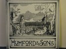 MUMFORD AND SONS -LOVE YOUR GROUND 10