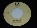 VHTF Ultra-Rare Neil Young Squires V-109 Sultan/Aurora
