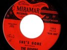 DOVERS -She's Gone Superb 1965 LA Garage Clean VG++HEAR