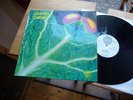CATAPILLA CHANGES IN 1972 MINT ON VERTIGO SWIRL RARE