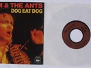Adam Ant Adam and the Ants Dog Eat Dog French RARE