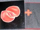 PETER GABRIEL Scratch My Back Collectors CD/LP Box RARE