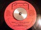 THE CHOSEN FEW BAND - WHAT IT TAKES RARE SOUL MODERN