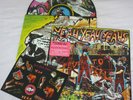 Yeah Yeah Yeahs Fever To Tell Picture Disc LP Record
