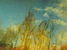 LUNGFISH TALKING SONGS FOR WALKING MINT
