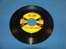LITTLE JIMMY DICKENS.I GOT A HOLE IIN MY POCKET 45 RPM