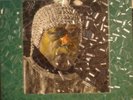SUN RA Nidhamu SATURN SIGNED BY RA, GILMORE & ARKESTRA