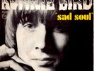 ROCK / RARE SP RONNIE BIRD 
