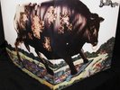 1971 HEAVY ROCK   BULL ANGUS   1st   Sir Lord Baltimore