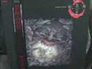 Geinoh Yamashirogumi Ecophony Rinne LP first issue obi