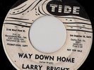 45 R&B ROCKABILLY Larry Bright Way Down Home PROMO HEAR