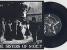 The Sisters Of Mercy 'Damage Done' 7
