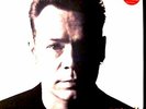 LP - Ali Campbell - Big Love (UB40) (REGGAE) UK EDIT. 1995, MINT, STOCK STORE