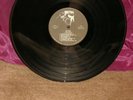 RATTUS TOILET BLOWS UP LP NM  PUNK