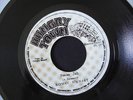 PRAISE JAH   -  ROMAN  STEWART  7 inch