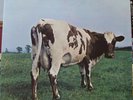 Pink Floyd: Atom Heart Mother.Psych.Rock.UK. A4;B3.EX+