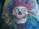 GRATEFUL DEAD THE WARLOCKS 20th ANNIV 2 LP SET RARE