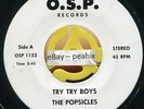 Popsicles TRY TRY BOYS 70s SoCal Power Pop New Wave 45