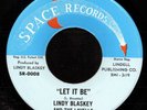 Lindy Blaskey Wild Garage Punk Burner Mindrocker Listen