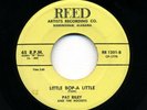 ROCKABILLY Pat Riley & The Rockets REED 1201 LISTEN