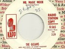 GLEAMS-PROMO 45-1963-DOO WOP-MR.MAGIC MOON