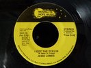 JESSE JAMES 'I GOT THE FEELIN' RARE MODERN SOUL 45
