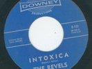 KILLER MAD MIKE INSTRO / TITTYSHAKER -- REVELS INTOXICA