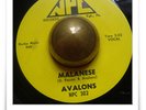 Avalons Malanese R&B DOO WOP ROCKER SOUL MOD HEAR 45