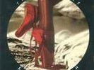 Kate Bush Red shoes uk emd 1047 original lp