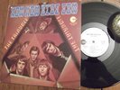 THE TRIANGLE LP HO NOW BLUE COW RARE PSYCH  PROMO