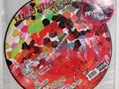 Yeah Yeah Yeahs Picture Disc 