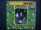 THE LEAVES HEY JOE