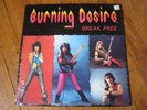 Burning Desire   Break Free   rare private metal lp SS