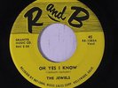 JEWELS: Oh Yes I Know / A Fool In Paradise 45 rare Vocal Groups
