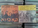 lions of juda 7