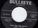 BUDDY BURKE /CANADIAN METEORS  ORIG.ROCK A BIL