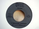 T.S.U. Toronadoes - 