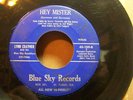 COUNTRY 45  LYNN CRAYMER  Wild She Devil  CLICK TO HEAR