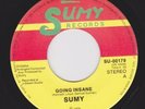 SUMY on SUMY Going insane RARE DUTCH BOOGIE FUNK PS 45