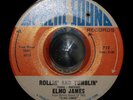 Elmore Elmo James Rollin' and Tumblin' KILLER R&B BLUES